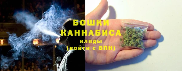 PSILOCYBIN Бронницы